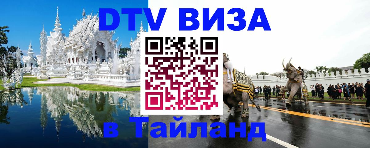 Оформление DTV визы под ключ: стоимость и тарифы, только загранпаспорт - 